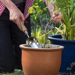 Outdoor Garden Care Shop -Outdoor Garden Care Shop 1002024 1