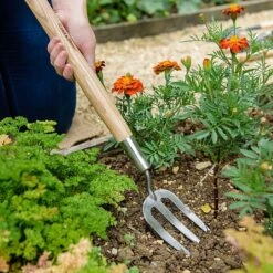 Outdoor Garden Care Shop -Outdoor Garden Care Shop 1031064 1