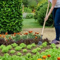 Outdoor Garden Care Shop -Outdoor Garden Care Shop 1031071 1