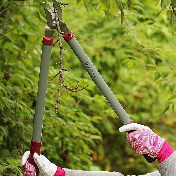 Kent & Stowe General Purpose Loppers 2 Kent & Stowe General Purpose Loppers - Image 2