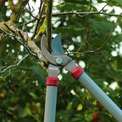 Kent & Stowe General Purpose Loppers 7 Kent & Stowe General Purpose Loppers -Outdoor Garden Care Shop 1031094 3