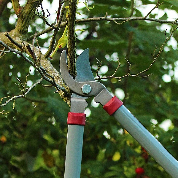 Kent & Stowe General Purpose Loppers 4 Kent & Stowe General Purpose Loppers - Image 4