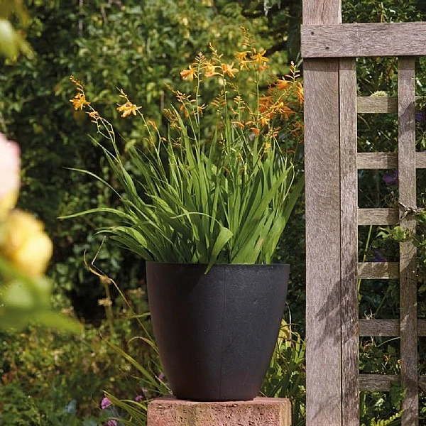 Stewart Garden 53cm Basalt Tall Round Planter - Black 1 Stewart Garden 53cm Basalt Tall Round Planter - Black