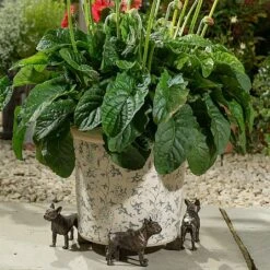 Jardinopia Plant Pot Feet Bronze French Bulldog -Outdoor Garden Care Shop 1177301 3
