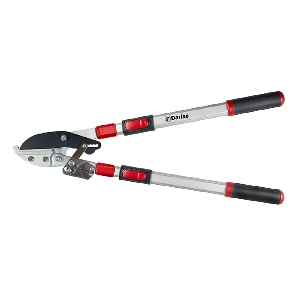 Darlac Telescopic Ratchet Lopper 1 Darlac Telescopic Ratchet Lopper