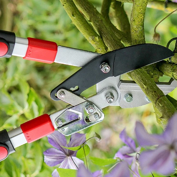 Darlac Telescopic Ratchet Lopper 2 Darlac Telescopic Ratchet Lopper - Image 2