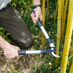 Burgon & Ball RHS Mini Bypass Lopper 6 Burgon & Ball RHS Mini Bypass Lopper -Outdoor Garden Care Shop 884113 1