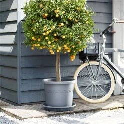 Elho Algarve Cilindro Planter With Wheels 40cm