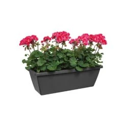 Elho Barcelona 90cm Trough (Various Colours) 6 Elho Barcelona 90cm Trough (Various Colours) -Outdoor Garden Care Shop BARCTROUGH90 2