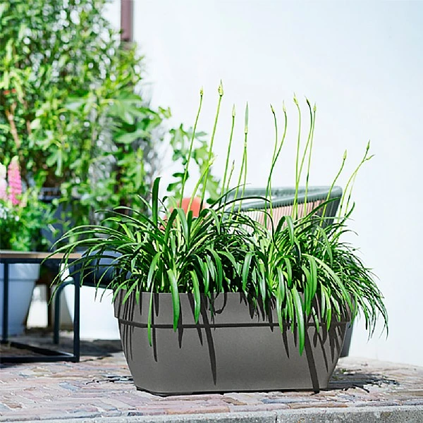 Elho Vibia Campana Trough 70cm (Various Colours) 1 Elho Vibia Campana Trough 70cm (Various Colours)