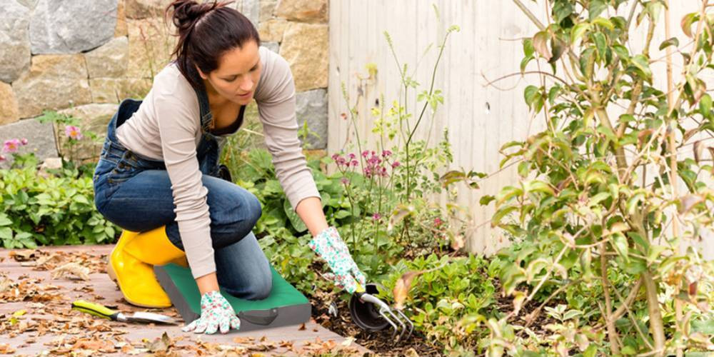 Outdoor Garden Care Shop -Outdoor Garden Care Shop 1