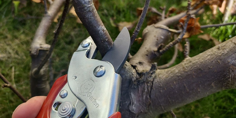 Outdoor Garden Care Shop -Outdoor Garden Care Shop 2